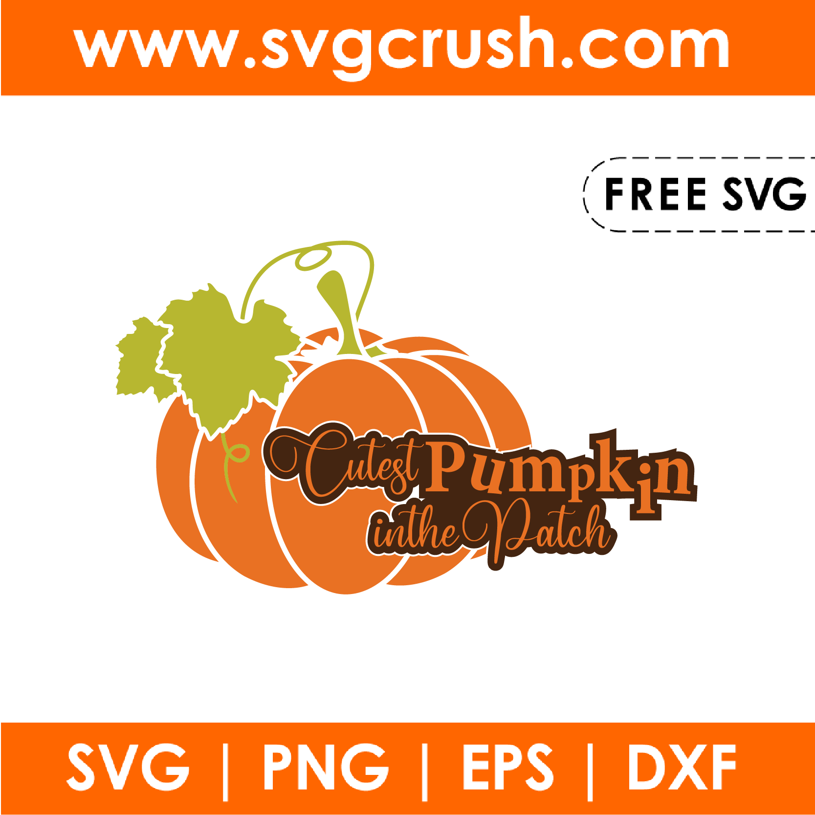 free cutest-pumpkin-in-the-patch-001 svg
